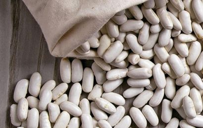 Creme de Feijão Branco